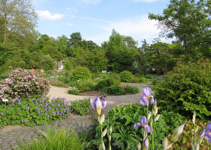 Kassel Botanical Garden, Kassel, Germany, Germany